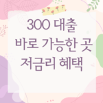 300 대출 바로 가능한 곳