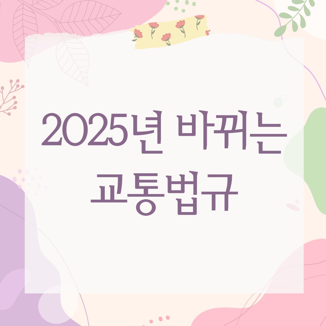 2025년 바뀌는 교통법규