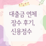 대출금 연체 잠수 후기, 신용점수 망가진