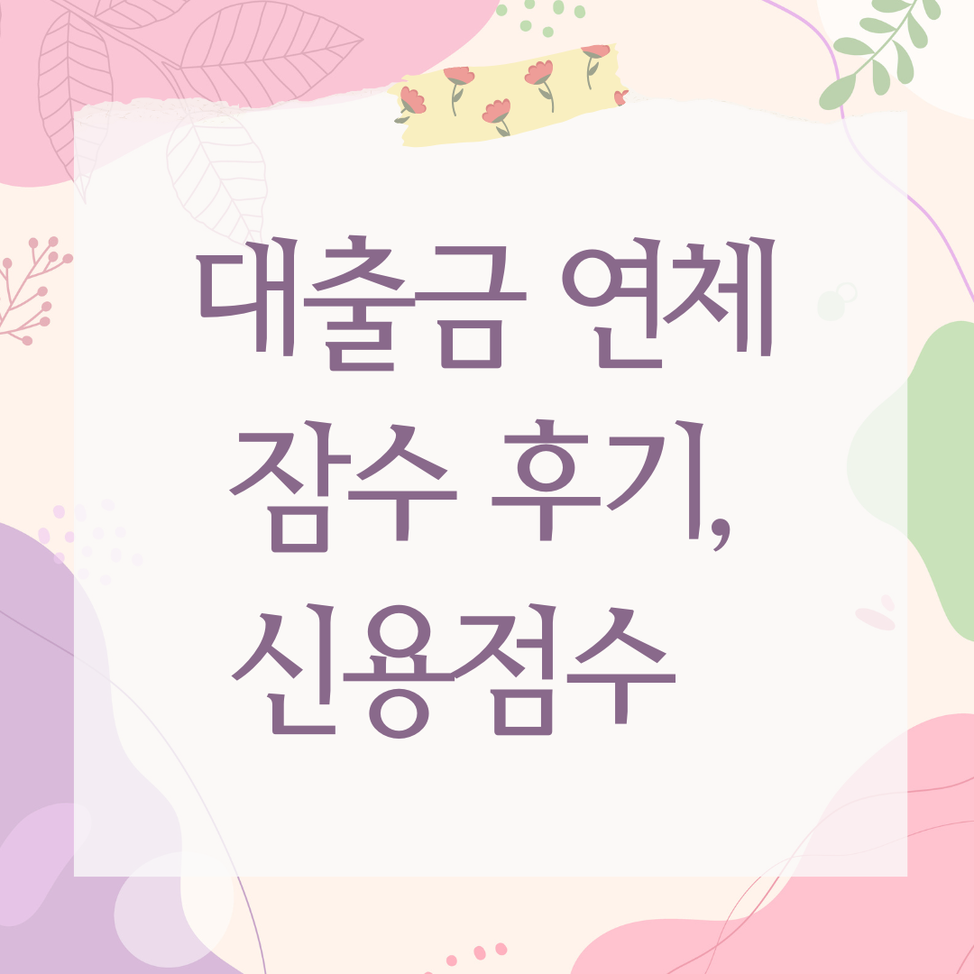 대출금 연체 잠수 후기, 신용점수 망가진