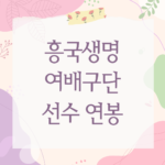 흥국생명 여배구단 선수 연봉