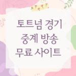 토트넘 경기 중계 방송 무료 사이트