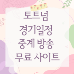 토트넘 경기일정 중계 방송 무료 사이트