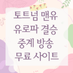 토트넘 맨유 유로파 결승 중계 방송 무료 사이트