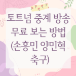 토트넘 중계 방송 무료 보는 방법 (손흥민 양민혁 축구)