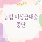 농협 비상금대출 중단