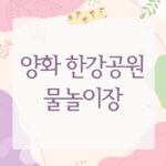 양화 한강공원 물놀이장