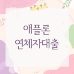 애플론 연체자대출