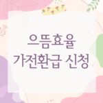 으뜸효율 가전환급 신청