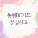 농협BC카드 분실신고