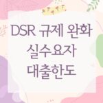 DSR 규제 완화 실수요자 대출한도