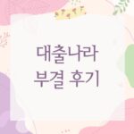 대출나라 부결 후기