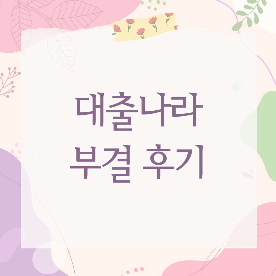 대출나라 부결 후기