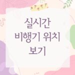 실시간 비행기 위치 보기