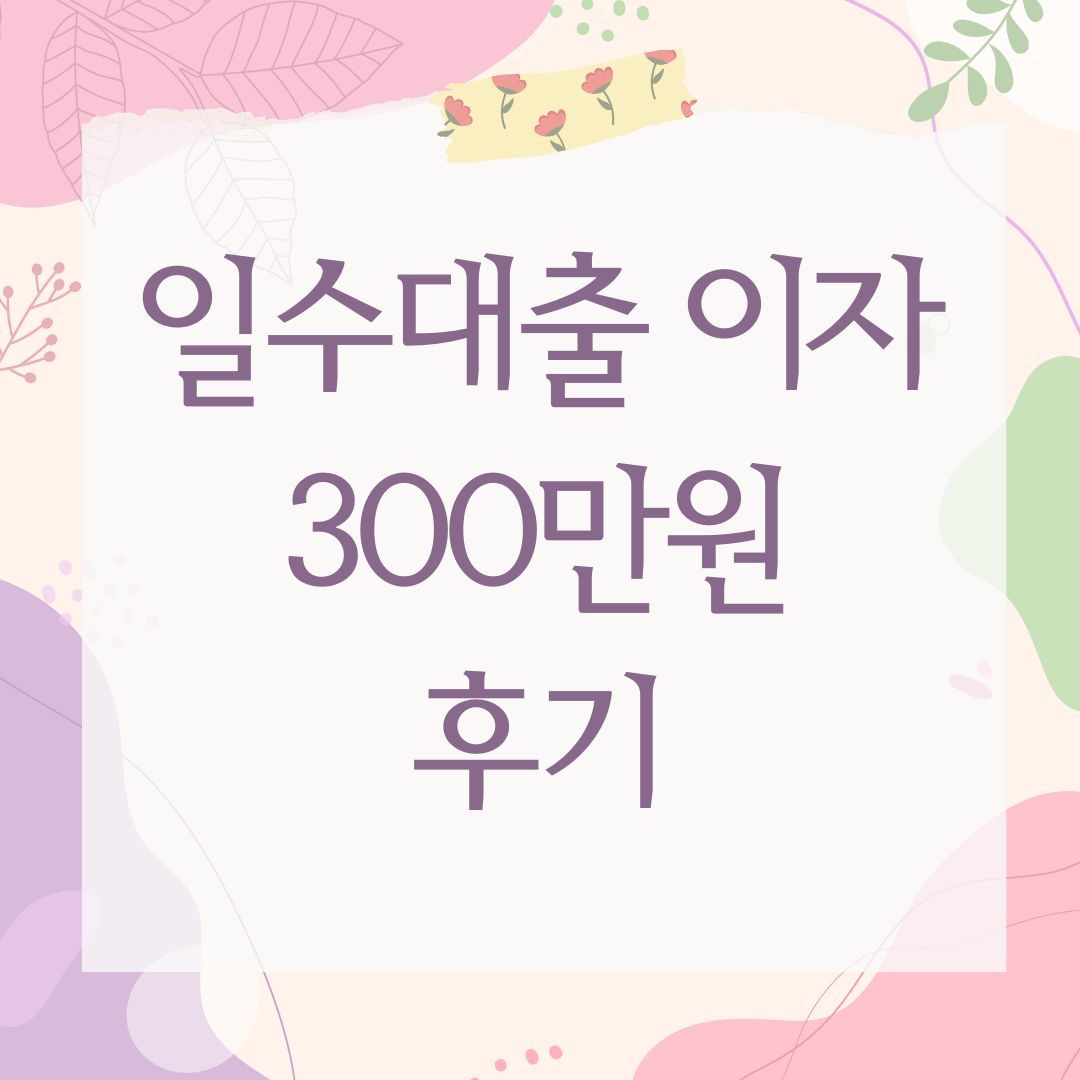 일수대출 이자 300만원 후기