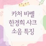 카처 비쎌 한경희 샤크 소음 특징