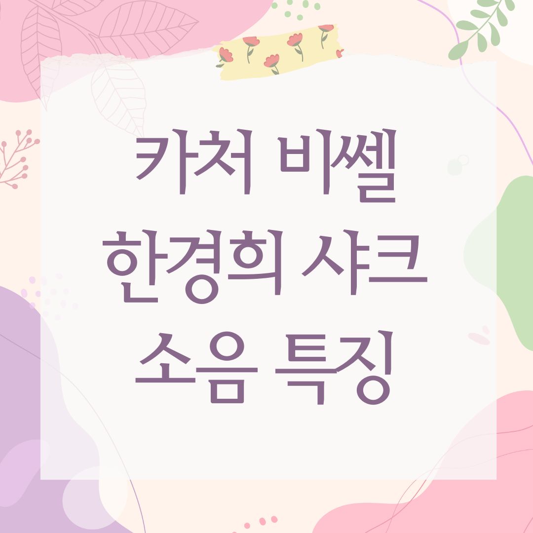 카처 비쎌 한경희 샤크 소음 특징